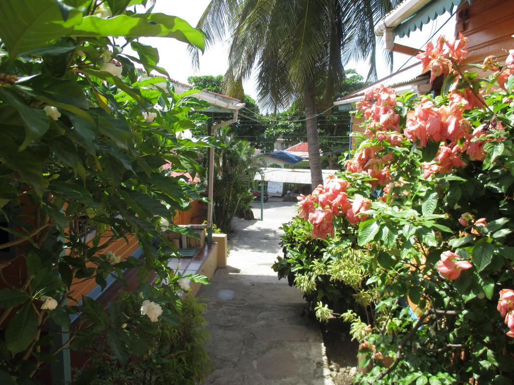 פרובידנסייה Hotel Flemming Tree מראה חיצוני תמונה