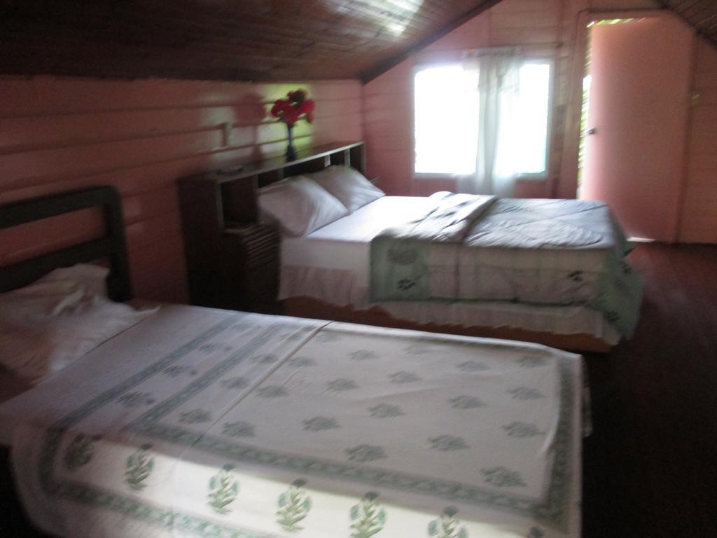פרובידנסייה Hotel Flemming Tree מראה חיצוני תמונה