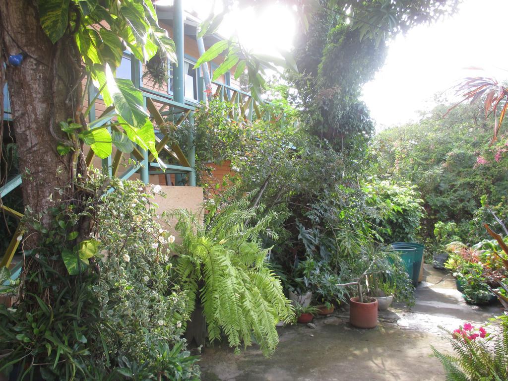 פרובידנסייה Hotel Flemming Tree מראה חיצוני תמונה